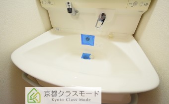 シャンプードレッサー