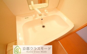 シャンプードレッサー