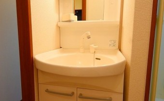 シャンプードレッサー