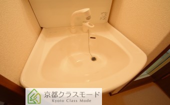 シャンプードレッサー