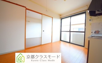DK6帖・別アングル