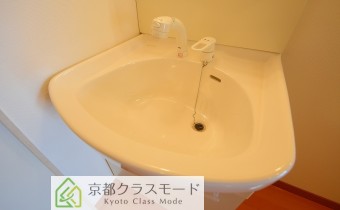 シャンプードレッサー