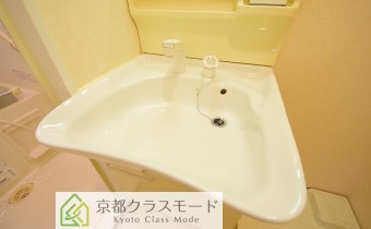 シャンプードレッサー