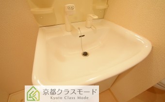 シャンプードレッサー