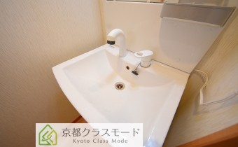シャンプードレッサー