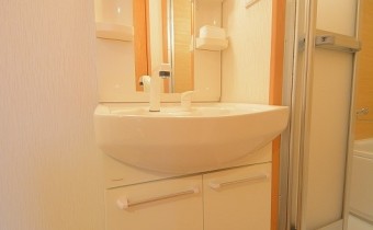 シャンプードレッサー