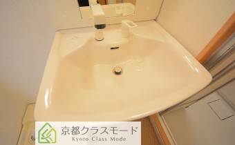 シャンプードレッサー