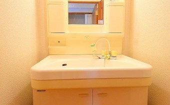 シャンプードレッサー