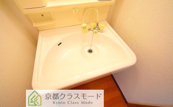 シャンプードレッサー