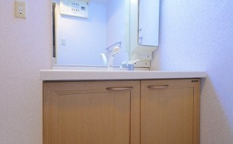 シャンプードレッサー