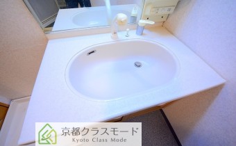 シャンプードレッサー