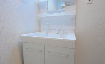 シャンプードレッサー