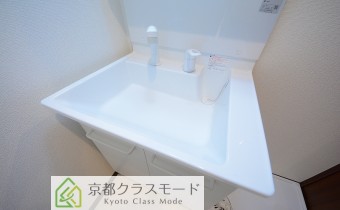 シャンプードレッサー