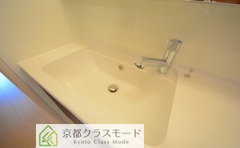 シャンプードレッサータイプ