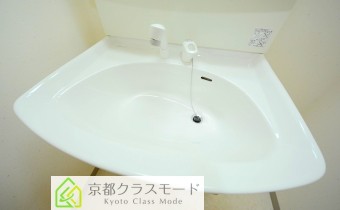 シャンプードレッサー