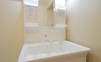 シャンプードレッサー