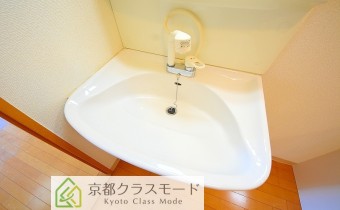シャンプードレッサー