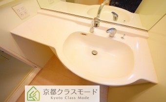 シャンプードレッサー