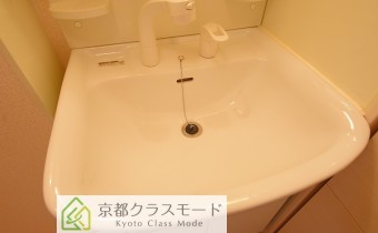 シャンプードレッサー