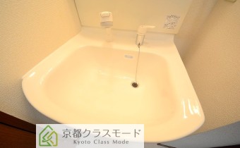 シャンプードレッサー