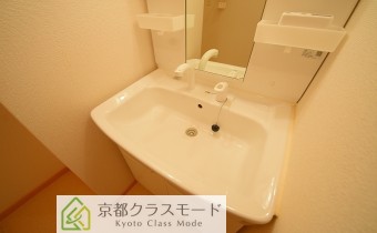 シャンプードレッサー