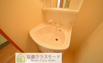 シャンプードレッサー