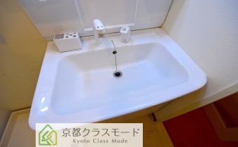 シャンプードレッサー