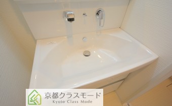 シャンプードレッサー