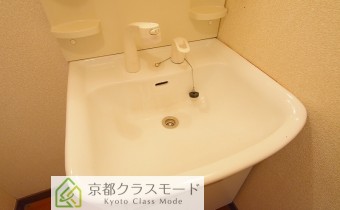 シャンプードレッサー