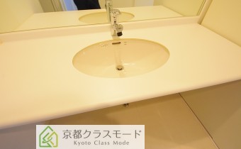 シャンプードレッサー