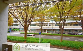 バルコニーから見た景色