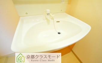 シャンプードレッサー