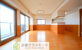 南向きの角部屋で陽当たり・風通し良好なLDK16.4帖♪