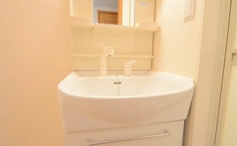 シャンプードレッサー