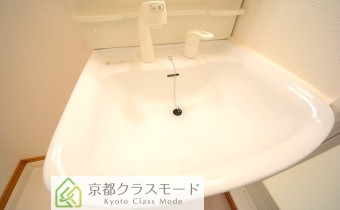 シャンプードレッサー