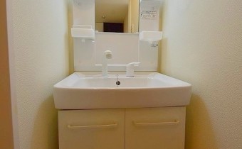 シャンプードレッサー