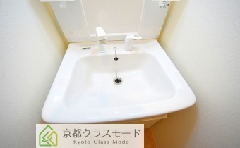 シャンプードレッサー