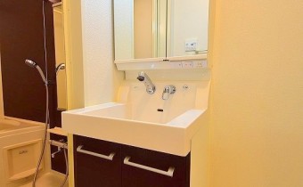 シャンプードレッサー