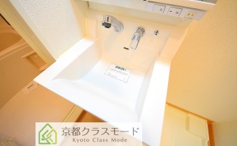 シャンプードレッサー