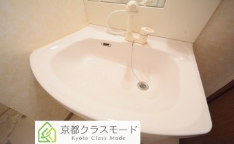 シャンプードレッサー