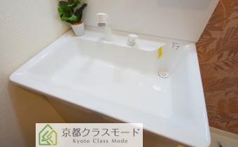 シャンプードレッサー