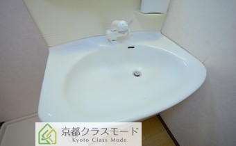 シャンプードレッサー