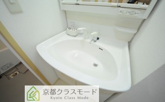 シャンプードレッサー