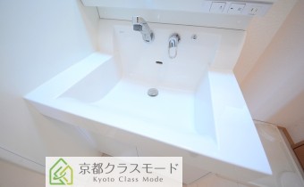 シャンプードレッサー