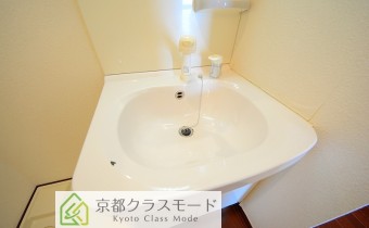 シャンプードレッサー