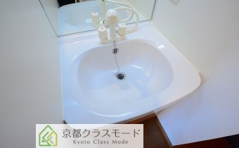 シャンプードレッサー