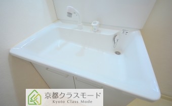 シャンプードレッサー