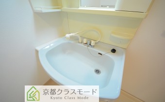 シャンプードレッサー