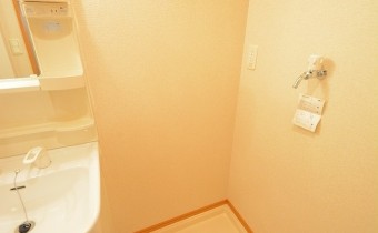 室内洗濯機置場