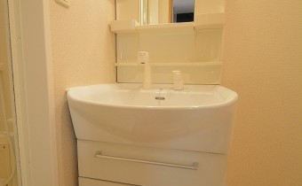シャンプードレッサー